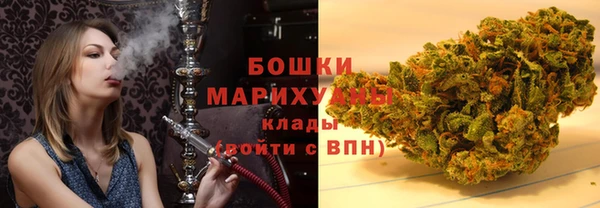 гашик Бердск